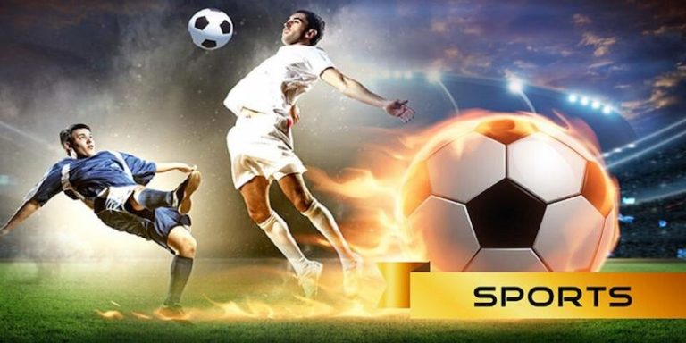 559BET Descubra o vibrante mundo dos esportes online em